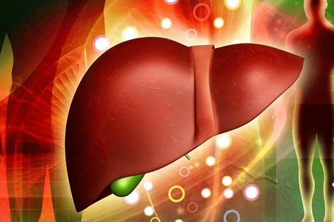 effects of drugs on liver strength