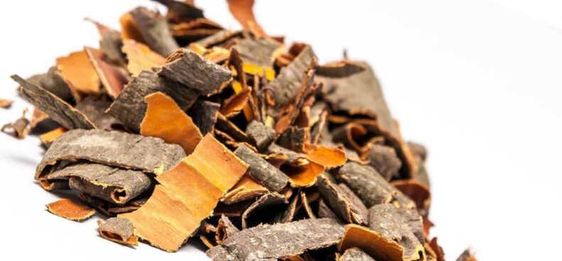 Aspen bark for the preparation of broths and infusions that increase male potency
