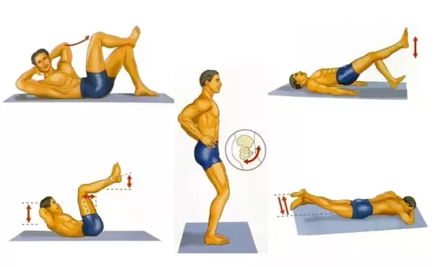 A set of physical exercises to increase male potency
